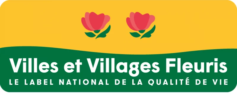 LOGO VVF